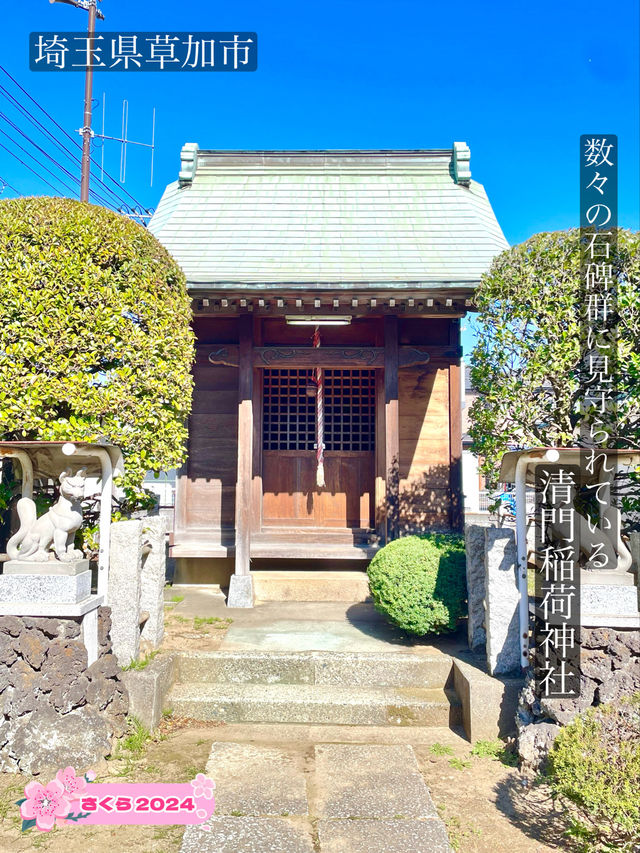 【清門稲荷神社/埼玉県】数々の石碑群に見守られている神社