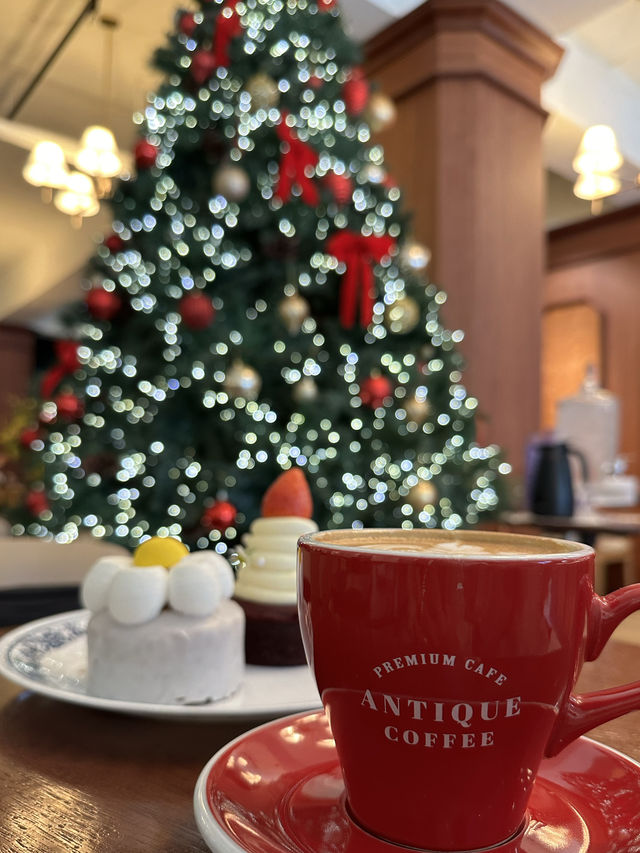 韓国 オススメカフェ☕️