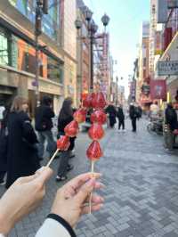 Dotonbori (Osaka japan)