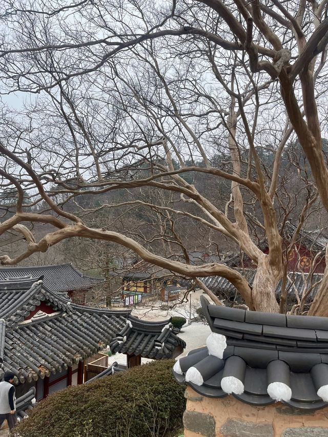 국내 이색체험 템플스테이