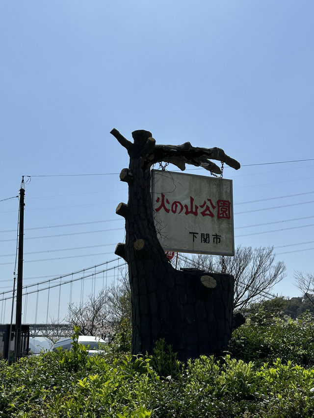 今年で66周年の火の山ロープウェイがオススメ