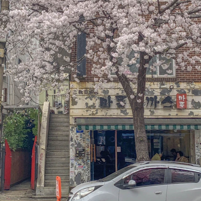 합정 벚꽃 루트 추천 코스