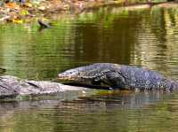 Khao Yai National Park