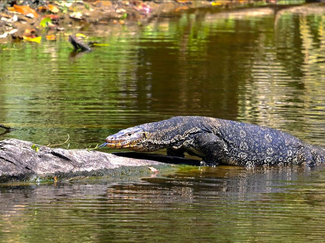 Khao Yai National Park