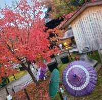 【京都】東福寺近くの穴場映えスポット⭐勝林寺⭐