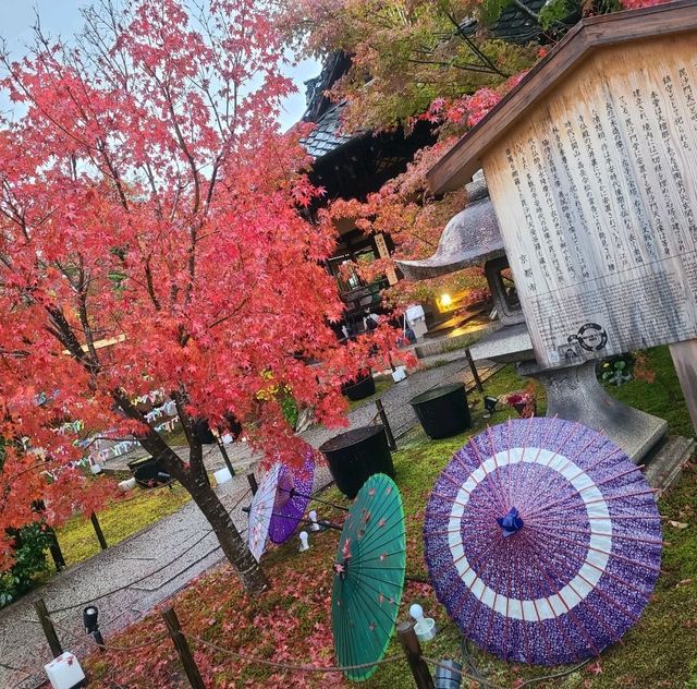 【京都】東福寺近くの穴場映えスポット⭐勝林寺⭐