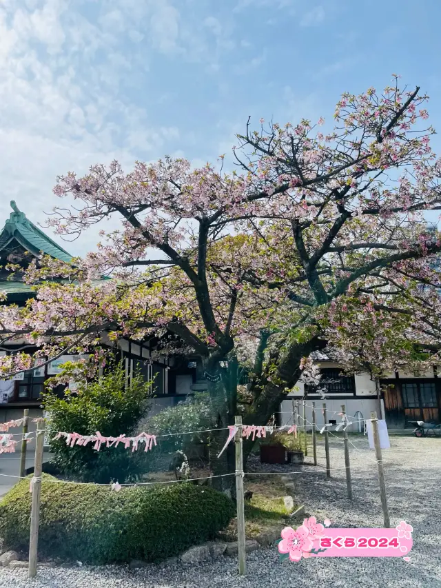 【大阪府】春の豊國神社で出世開運をお祈り！