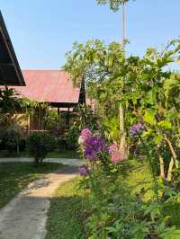 🇹🇭 A sweet getaway at Farmstay@ Pai