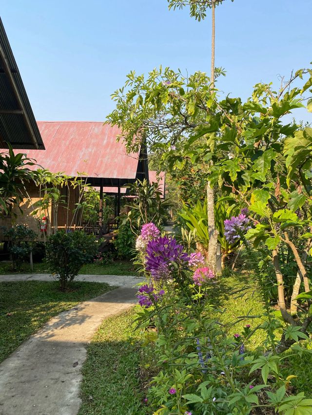 🇹🇭 A sweet getaway at Farmstay@ Pai