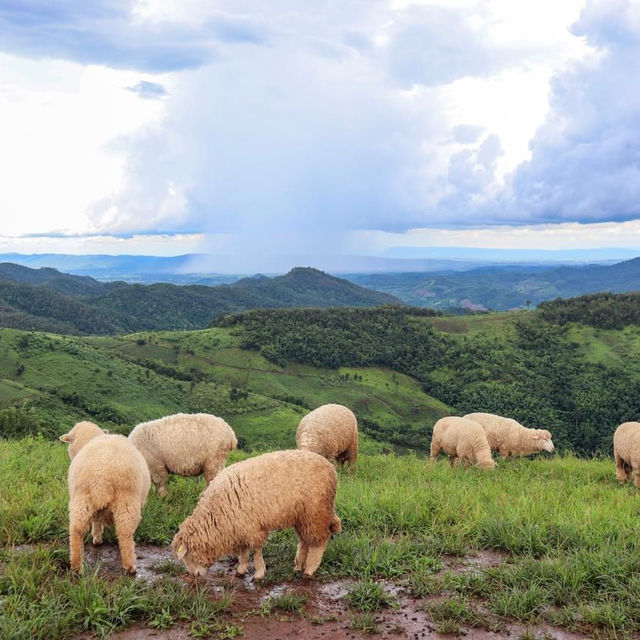 Akha Farm Ville