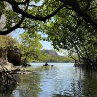 Kayak Through Paradise: Langkawi Mangrove