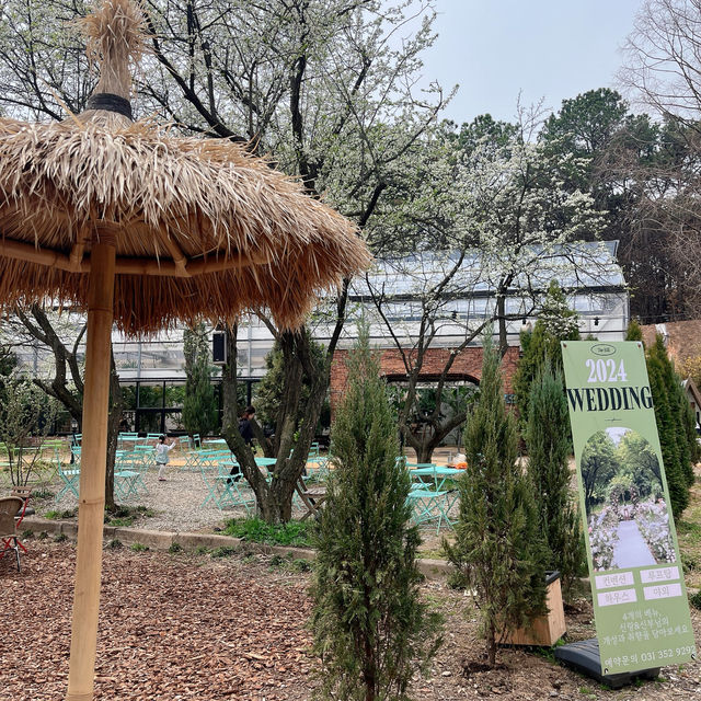 서울근교 여행! 경기도 벚꽃명소에 호캉스까지 힐링 여행 코스