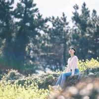 수선화섬에서 노랑마을 구경하기💛