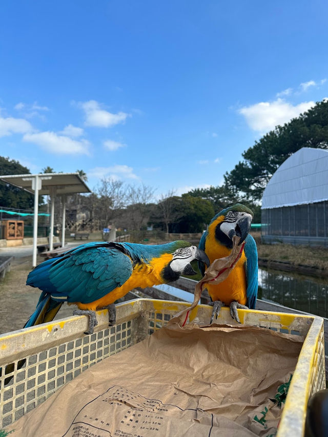 Uminonakamichi Seaside Park 