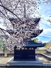 Kofuku-ji Sanjunoto เจดีย์ 3 ชั้นมรดกชาติ จ.นารา