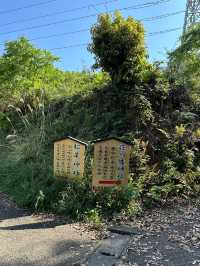 【福岡】北九州にあるお散歩しながら行ける神社