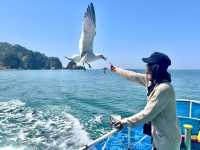 Ferry ride along sasagawa nagare 