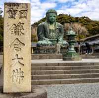 「鎌倉大佛」高德院，20日圓參觀佛像內部