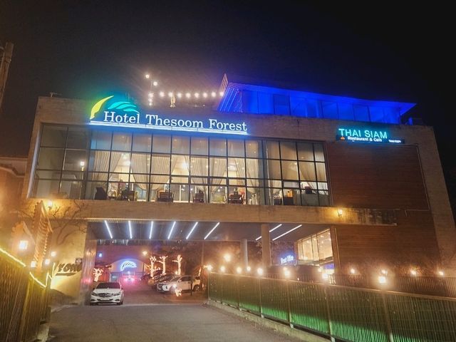 A great hotel near Everland, Thesoom Forest