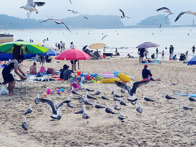 One of the cleanest beaches in Korea