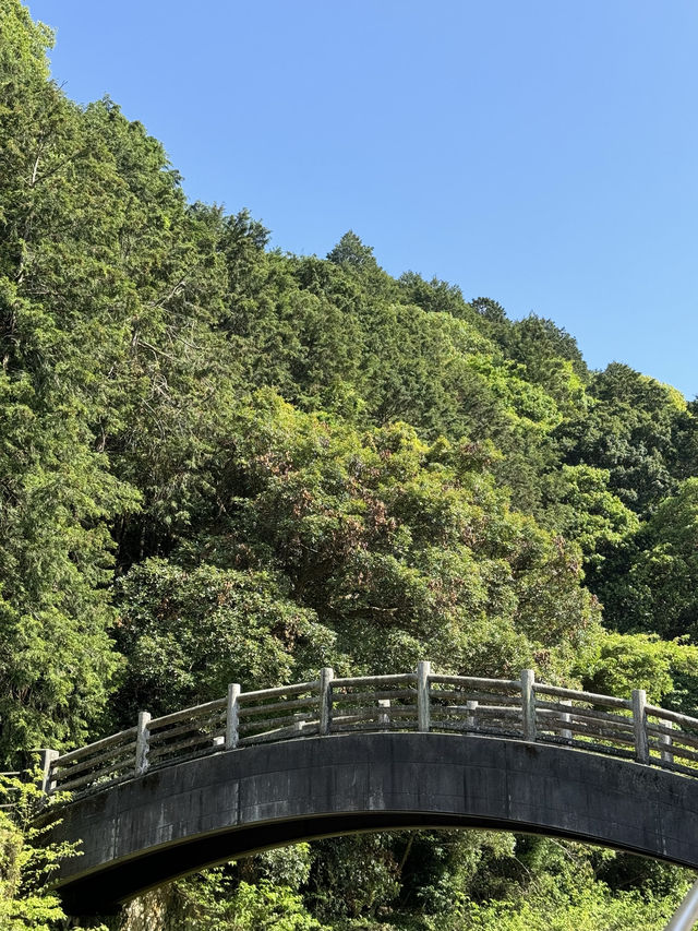 【大阪/岸和田】岸和田で温泉やグランピングが楽しめる 『四季まつり』