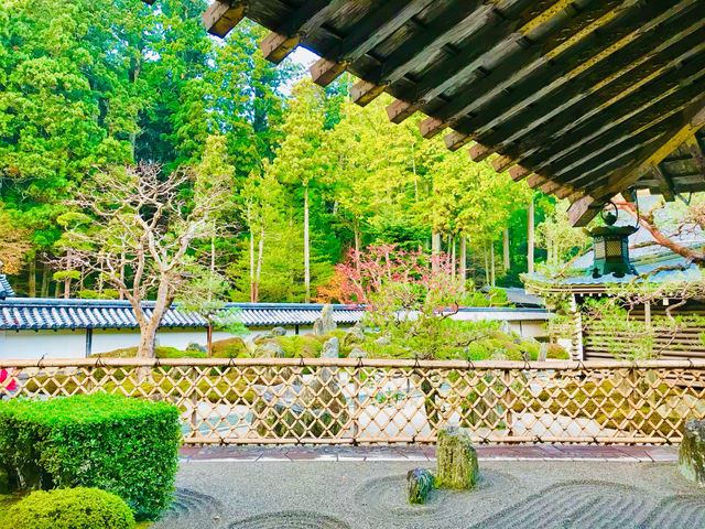 Deeply enriching and contemplative retreat for all who visit 🇯🇵