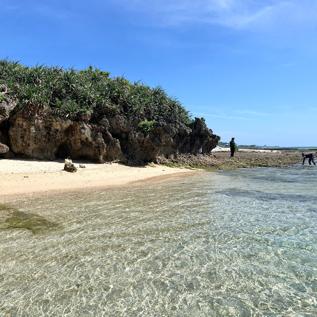 【沖縄 本部】　透明感がスゴい‼︎ オススメSPOT🏖️