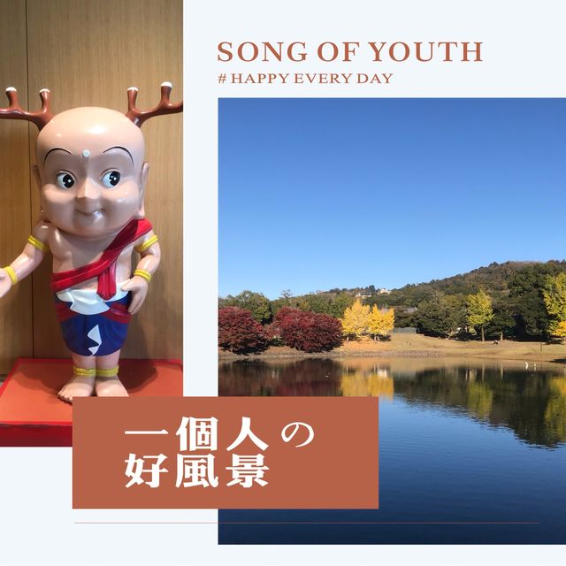 楓紅下的奈良公園