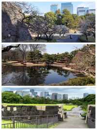 「皇居東御苑：歷史花園，百人番所展示江戶風情」