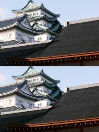 【名古屋】必到景點！名古屋城🏯歷史文物珍藏