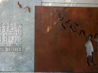【免費】香港海防博物館：多媒體展覽，春天好去處2024！【筲箕灣】