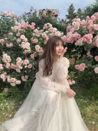 バラ園でプリンセス気分👸🏼🌹【千葉】
