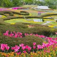 國營陸奧森林湖畔公園賞花