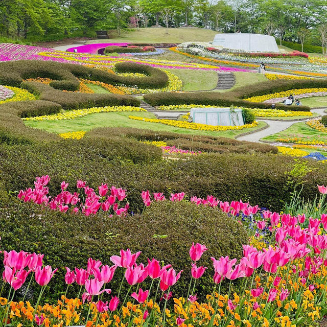 國營陸奧森林湖畔公園賞花