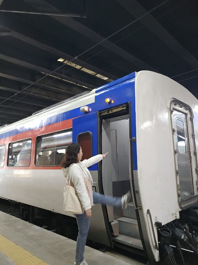 부산 2박 3일 알차게 즐기기 2일차 💕 (+가성비 극강😘 하루 만원으로 즐기는 부산 여행🏃)