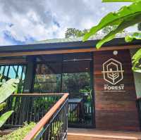 INTO THE FOREST | ดื่มด่ำบรรยากาศคาเฟ่กลางหุบเขา