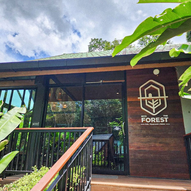 INTO THE FOREST | ดื่มด่ำบรรยากาศคาเฟ่กลางหุบเขา