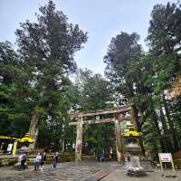 Gilded Grandeur: Nikkō Tōshō-gū Shrine Awe-Inspires!