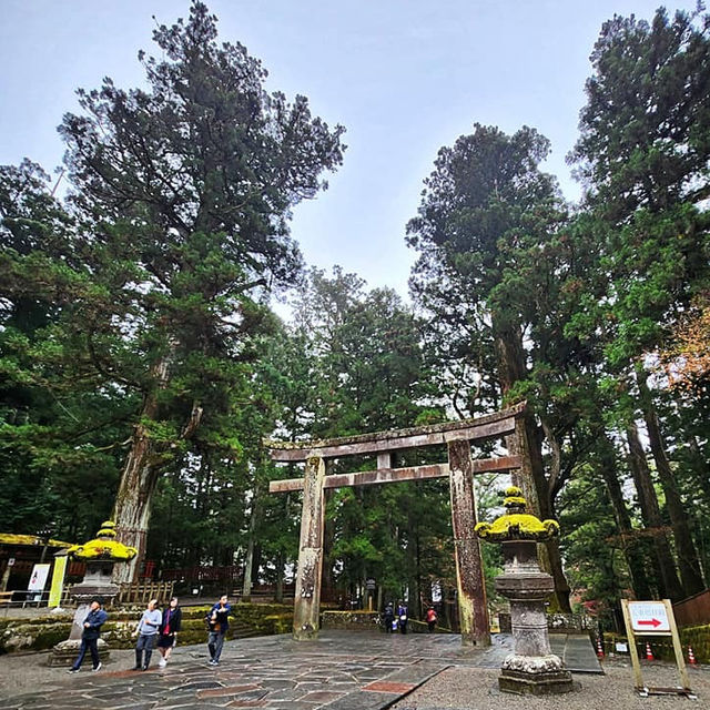 Gilded Grandeur: Nikkō Tōshō-gū Shrine Awe-Inspires!