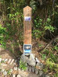 洲崎神社的神聖之旅：探索館山市靈性與美麗