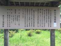 城山公園自然與歷史之美：館山市綠色天堂