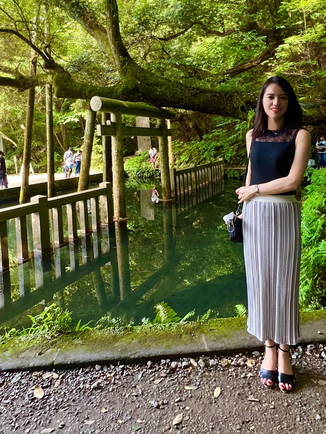 〜茨城県〜神秘的な池があるパワースポット！
