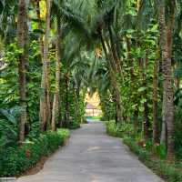 sheraton Hua Hin Pranburi villas