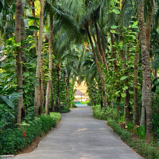 sheraton Hua Hin Pranburi villas