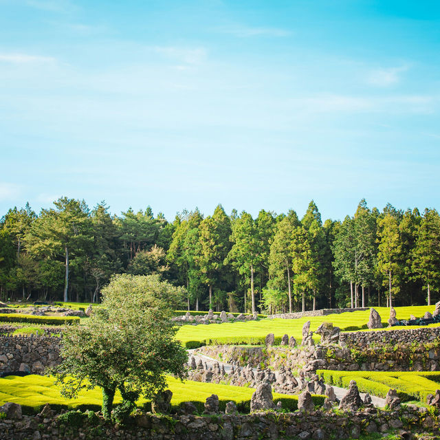 Jeju: The Enchanting Island of Natural Beauty and Myth
