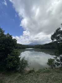 【福岡観光/自然】森林浴