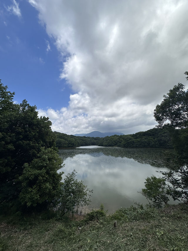 【福岡観光/自然】森林浴
