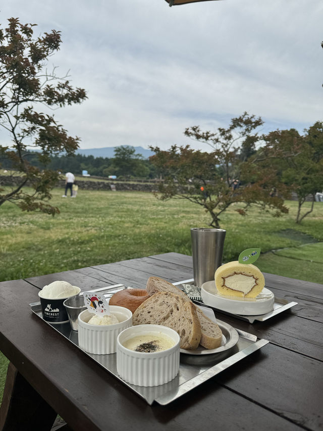 귀여운 젖소들을 아주 가까이에서 볼 수 있는 이색 목장 ✨