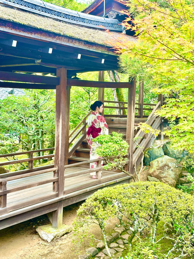 〜京都府〜一度は行こう！歴史長い世界遺産仁和寺
