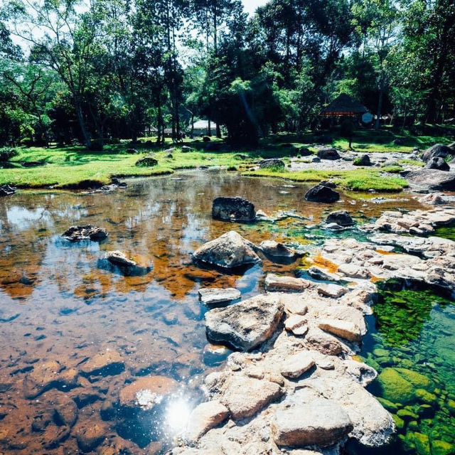 สัมผัสธรรมชาติเมืองลำปาง🌳